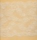 Calais stretch lace